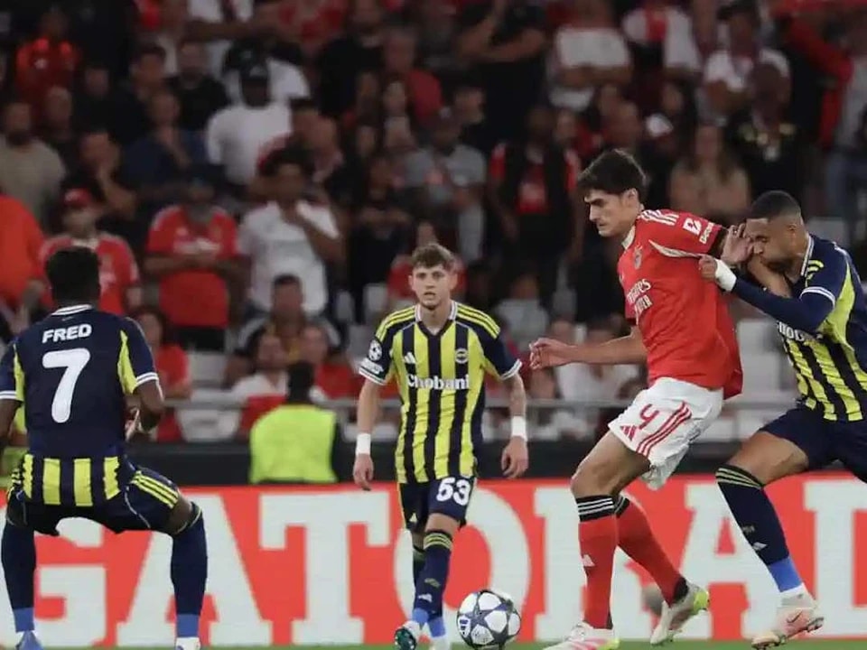 菲卡球迷中, img, src 菲卡球迷中, img, src