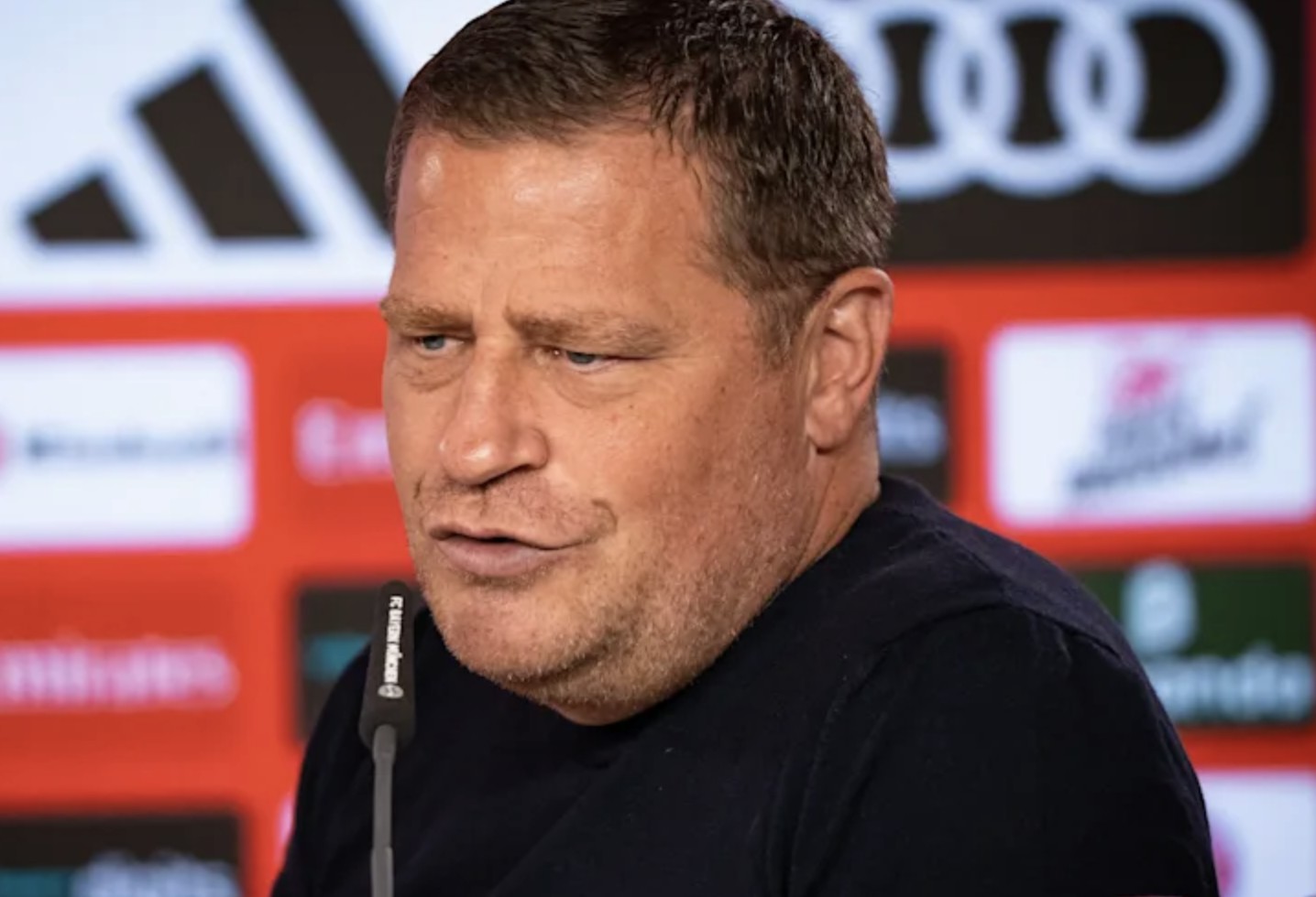 对所有人来, 我相信现在 对所有人来, 我相信现在